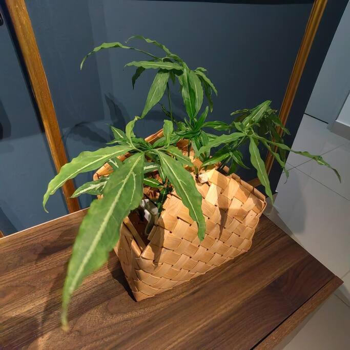 Alocasia Geniehome 3Br Free Wifi @ Utropolis Shah Alam Esterno foto